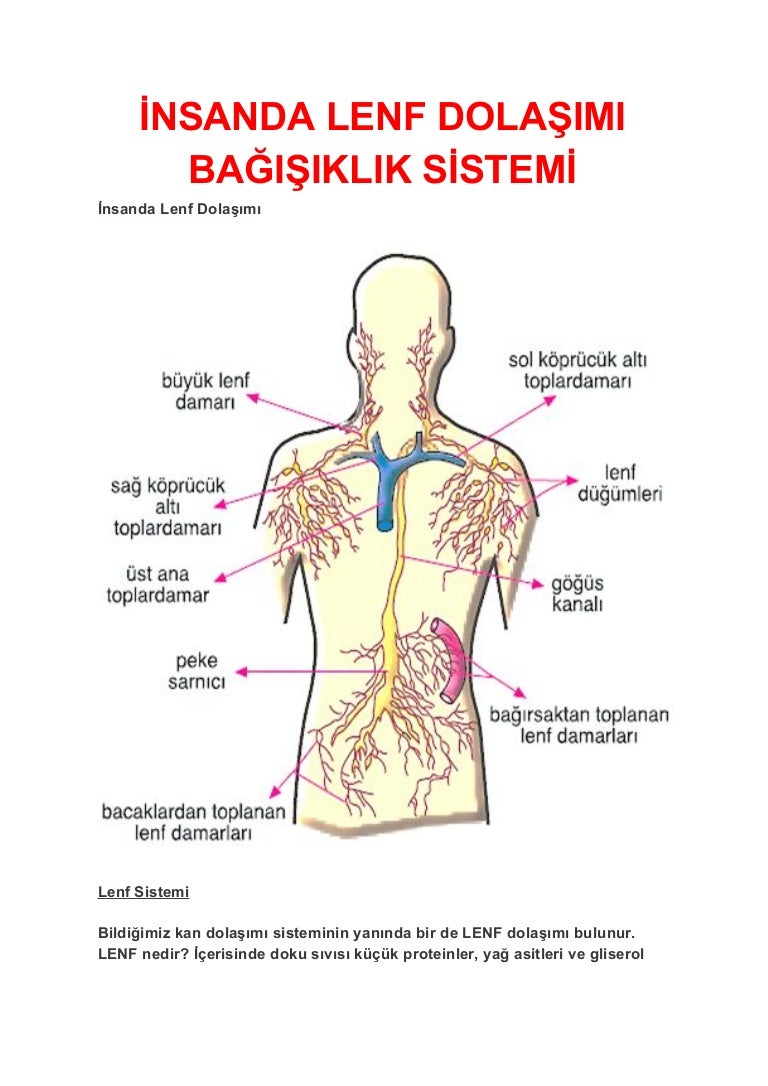Lenf düğümlerinin iltihaplanması: Neden oluşur Lenf düğümlerinin iltihaplanması: Neden oluşur